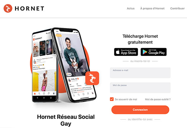 hornet